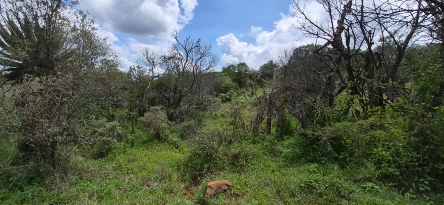 0 Bedroom Property for Sale in Koster North West